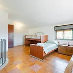 La Quiete Della Campagna * Ното